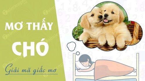 nằm mơ thấy chó